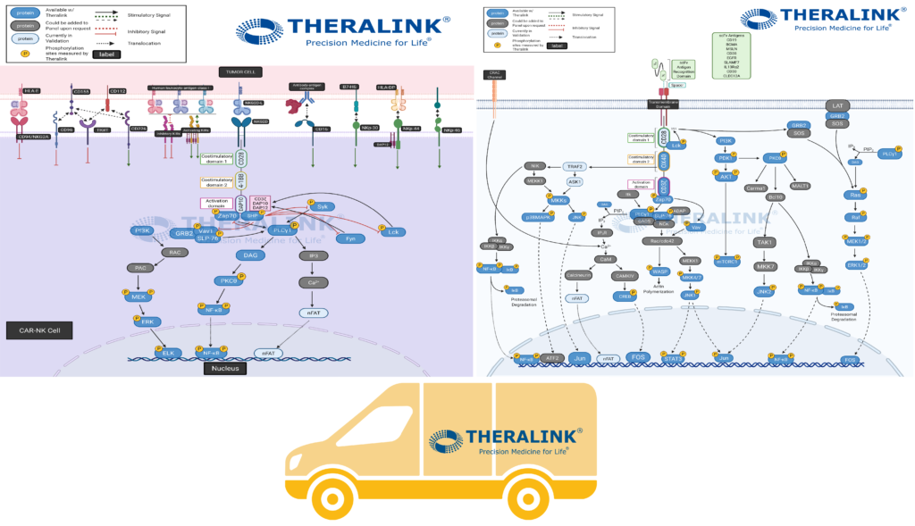 Theralink Enhanced Vehicles - CAR-T and CAR-NK