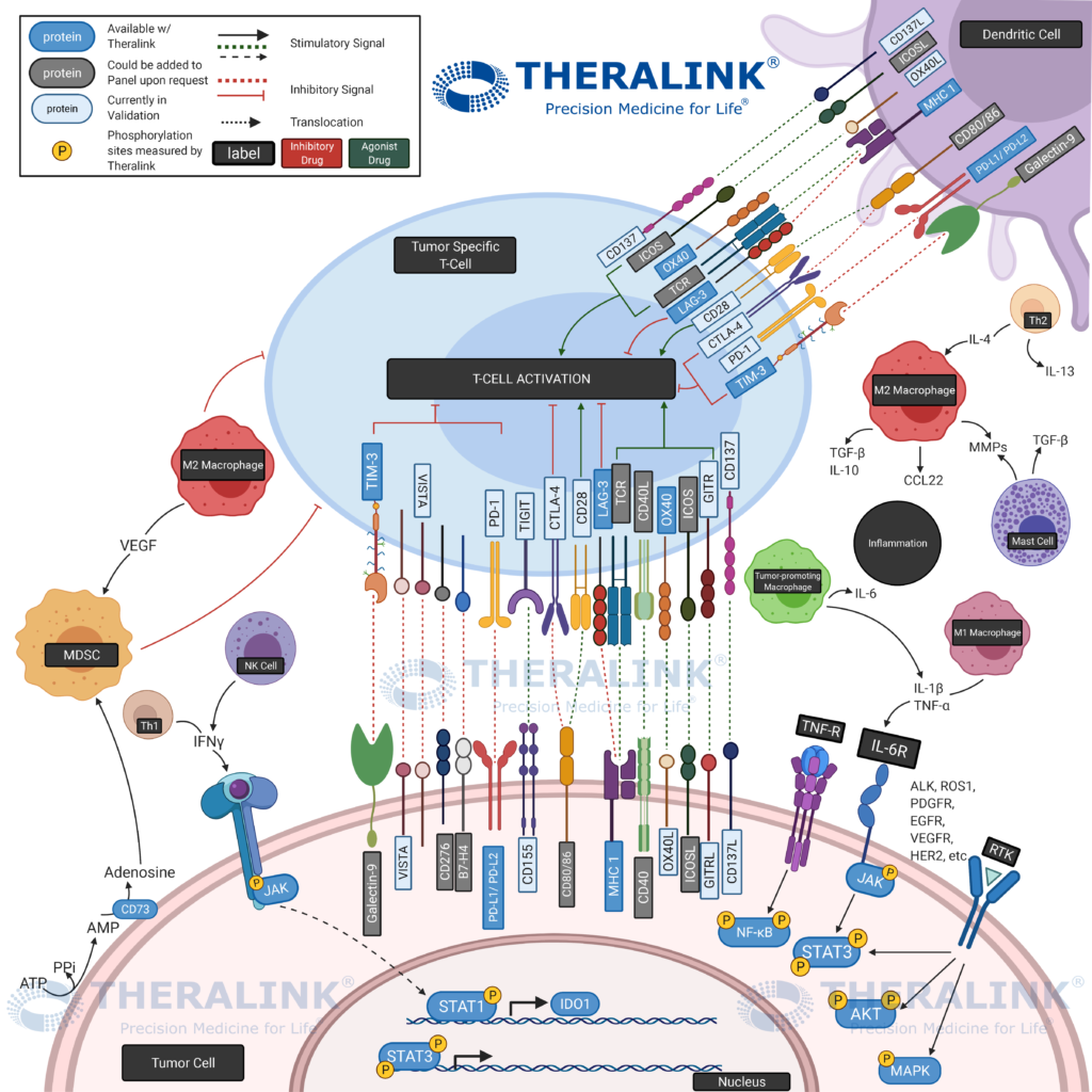 Into the I/O: A immuno-oncology PD1/PDL1 Case Study