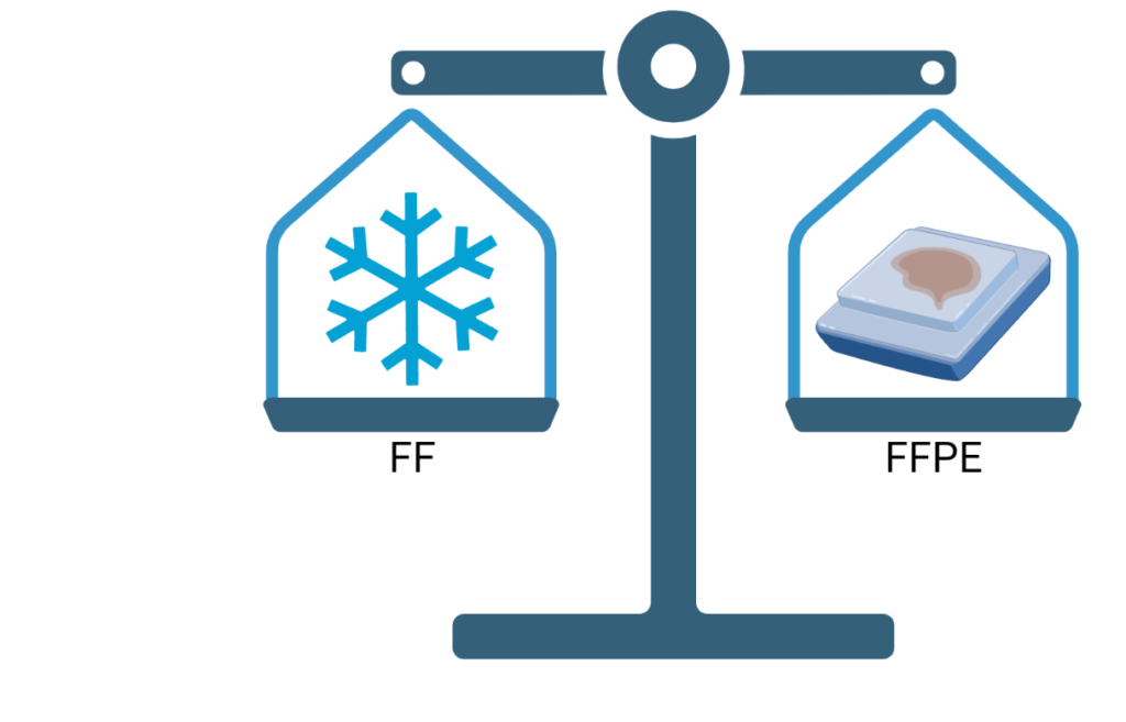 To Freeze or Fix: Deciding between fresh-frozen or formalin-fixed paraffin embedded sample preservation