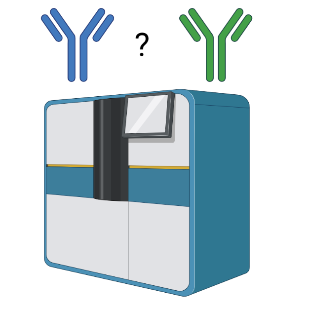 Research Highlight: Antibody Validation and Quality Control
